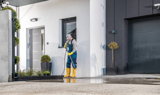 Best Roof Washing  in Fayette, AL